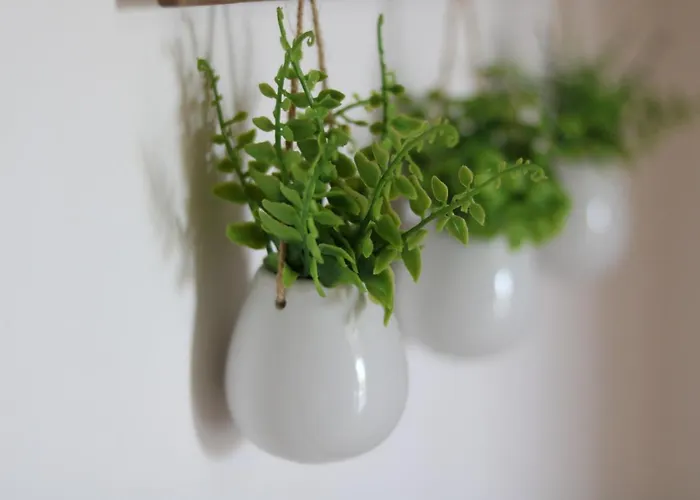 Casa Do Mar - Com Vista Ria E Mar *